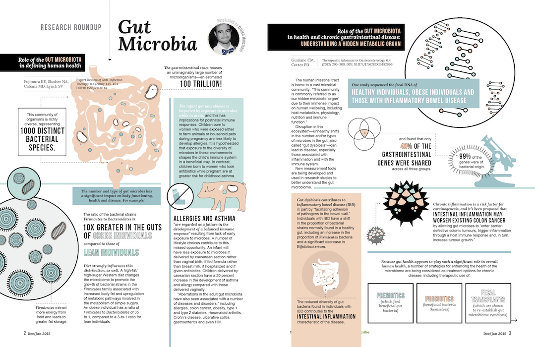 paleo magazine design-infographic spread-gut microbia